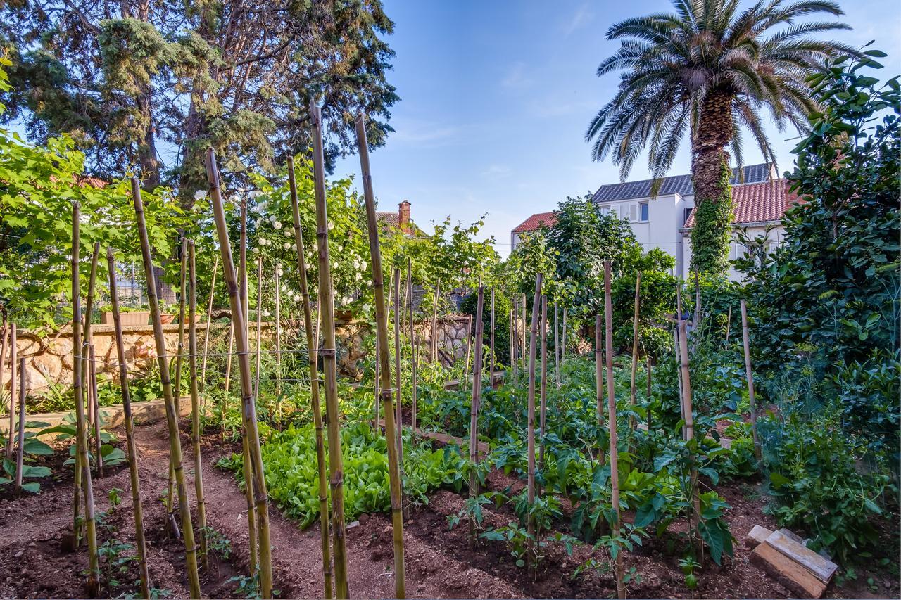 Apartments Beba Мали-Лошинь Экстерьер фото